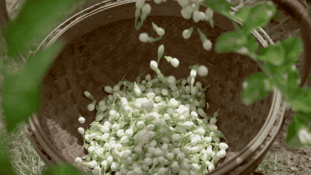 被抢空的牌子这次居然100+就能拥有开元棋牌网站真爱大牌返场 一上线就(图36)